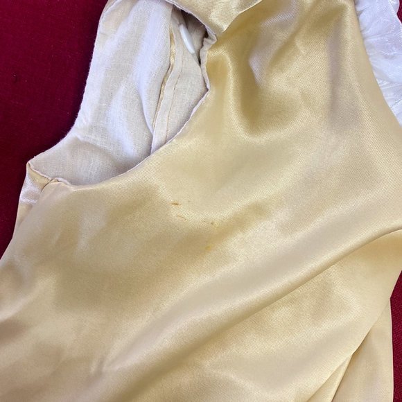 Ruffle Gold Dog Dress Matching Leash Formal Pearl Studded Bow Accent Pet Wedding - Picture 12 of 13